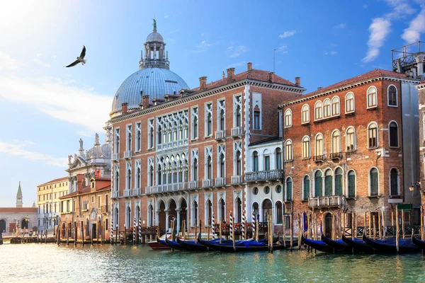 Grande Canal Veneza Itália Vista Sobre Santa Maria Della Salute — Fotografia de Stock