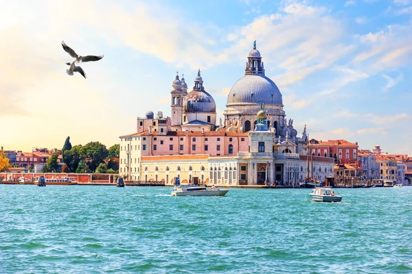 Venetië Uitzicht Basiliek Santa Maria Della Salute — Stockfoto