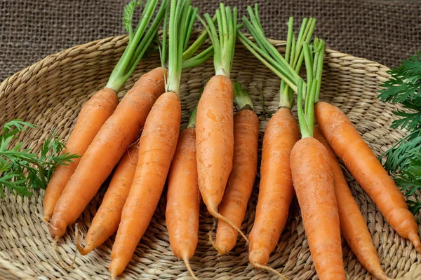 Wortel Segar Dalam Keranjang Sayuran Akar Makanan Sehat — Stok Foto