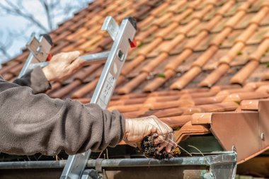 Man on a ladder cleaning house gutters clipart