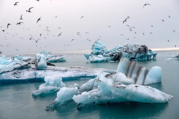 Айсбергів Jokulsarlon Красиві Льодовикові Лагуни Ісландії Jokulsarlon Відомим Подорожі Національному — стокове фото