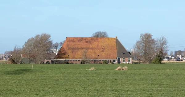 オランダ北部の古いオランダの農場 — ストック写真