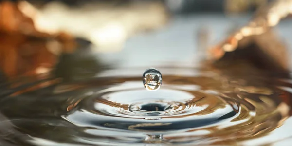Een Druppel Water Druppelend Het Water Achtergrond Van Herfstbladeren Close — Stockfoto