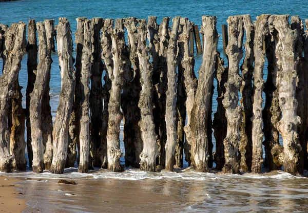 Velhos Pilares Madeira Mar — Fotografia de Stock
