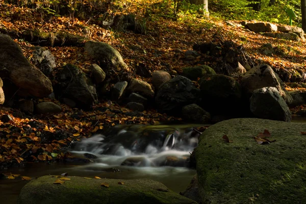 Esposizione Temporale Fiume Chiamato Ilsefaelle Nella Regione Tedesca Harz Autunno — Foto Stock