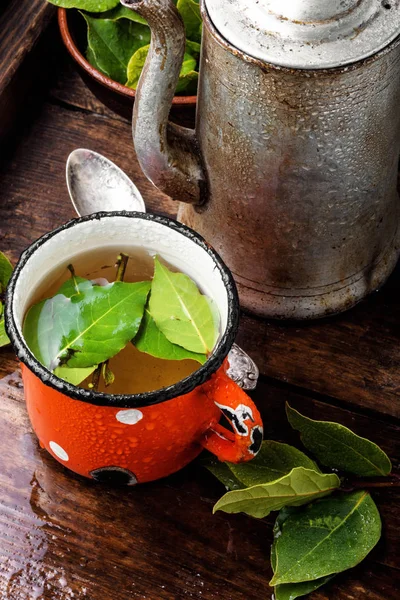 Травяной Чай Стеклянном Cup Delicious Чай Лавровым Листом — стоковое фото