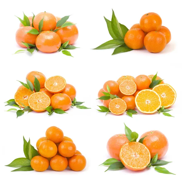 Mandarinen Auf Weißem Hintergrund Collage — Stockfoto
