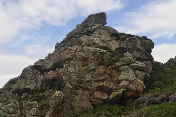 Luonnonsuojelualue Suojeltu Alue Jolla Merkitystä Kasviston Eläimistön Tai Geologisen Tai — kuvapankkivalokuva