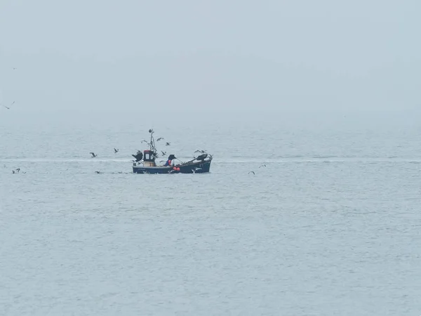 Bateau Pêche Par Temps Brumeux Dans Manche Avec Goélands Suivant — Photo