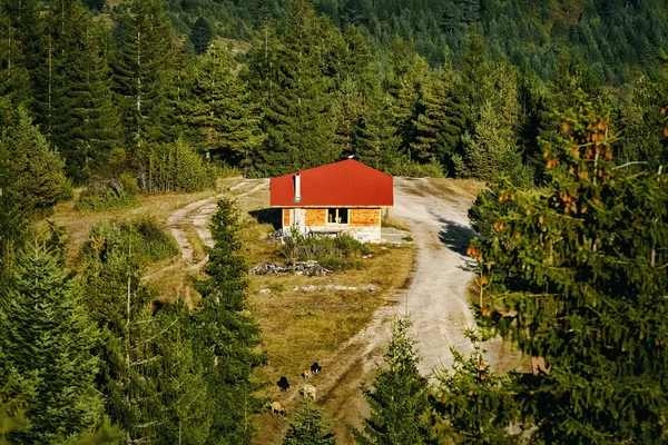 Casa Pequena Nas Montanhas Rhodopes Bulgária — Fotografia de Stock