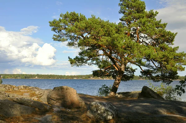 Svezia Nel Nord Europa — Foto Stock