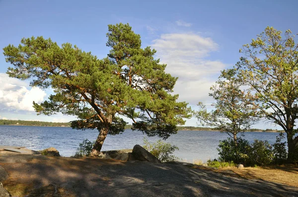 Svezia Nel Nord Europa — Foto Stock