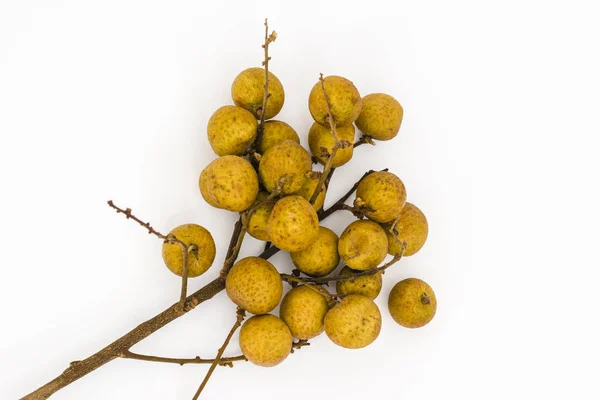 Bunch Longan Fruits Dimocarpus Longan White Background — Stock Photo, Image