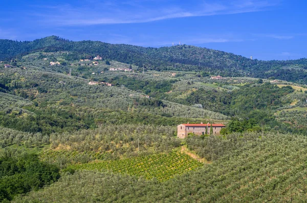 Verde Paisagem Toscana Com Vinhas Olivais Bosques Fazendas Cidade Sob — Fotografia de Stock