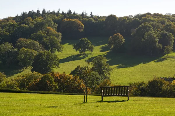 Empty Bench Grass Lawn Surrey England Stock Image