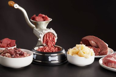 Preparing fresh raw meat for barf dog food with a mix of poultry, heart, stomach, lungs, offal and beef being minced in an old grinder clipart