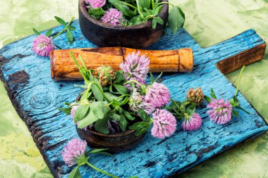 Herbal medicine.Clover or trefoil flower medicinal herbs.Healing herbs clipart