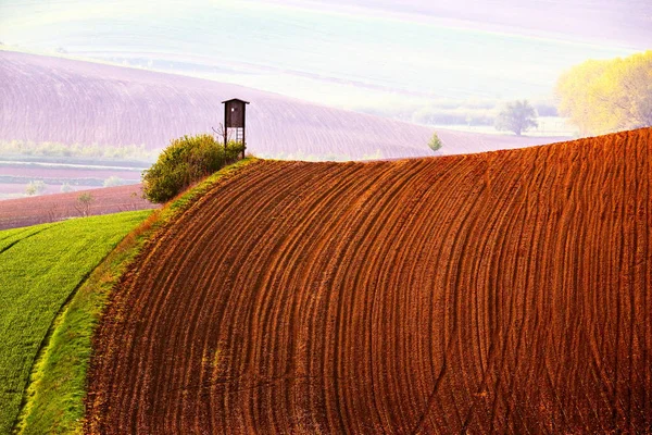 Arable Lands Spring Spring Rural Landscape Hunting Box Moravia Hills — Stock Photo, Image