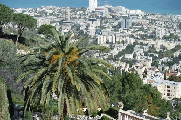 Vista Sobre Jardins Bahai Haifa Israel — Fotografia de Stock