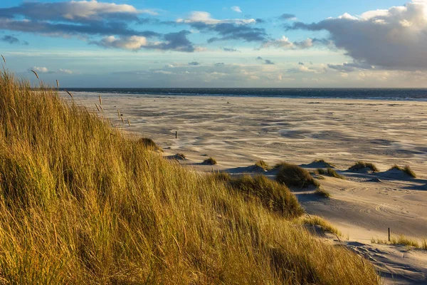 Duinen Aan Noordzeekust Het Eiland Amrum Duitsland — Stockfoto