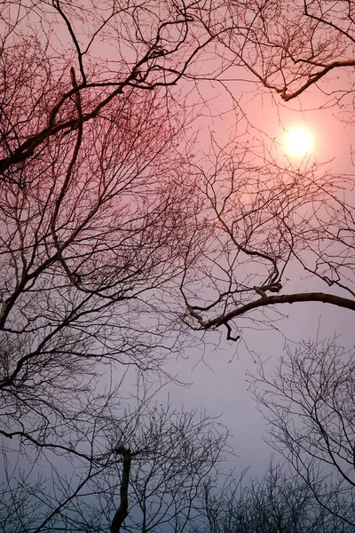 Bela Vista Céu Por Sol — Fotografia de Stock