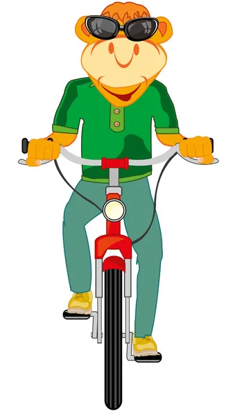 Ilustración Vectorial Del Animal Dibujos Animados Bicicleta Transporte — Foto de Stock