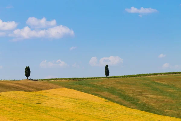 Tuscany Heuvels Landschap Italië Landelijke Italiaanse Panorama — Stockfoto