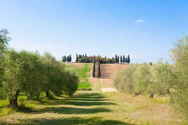 Toskana Hügellandschaft Italien Italienisches Landpanorama — Stockfoto