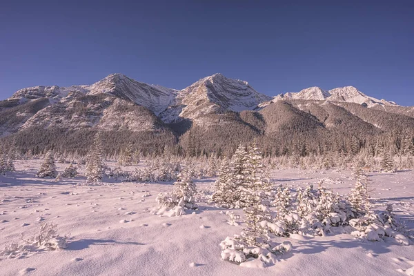 Paesaggio Innevato Con Alberi Una Montagna — Foto Stock