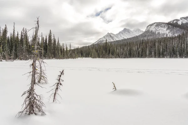 Paisaje Las Montañas Rocosas Canadienses Con Trampas Nieve — Foto de Stock