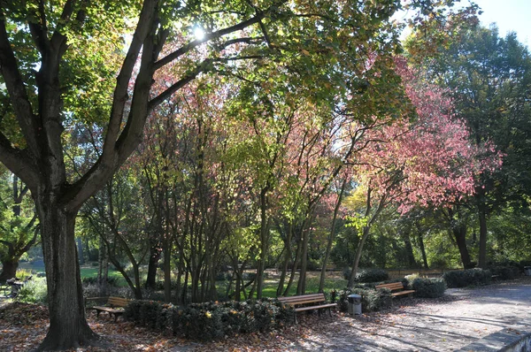 Herbstlandschaft Hannover — Stockfoto