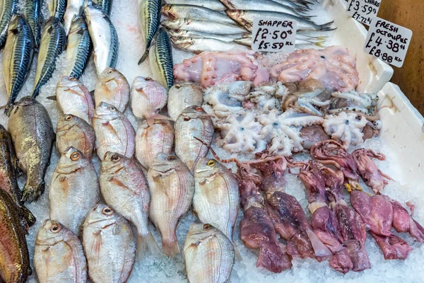 Peixes Polvos Para Venda Num Mercado — Fotografia de Stock