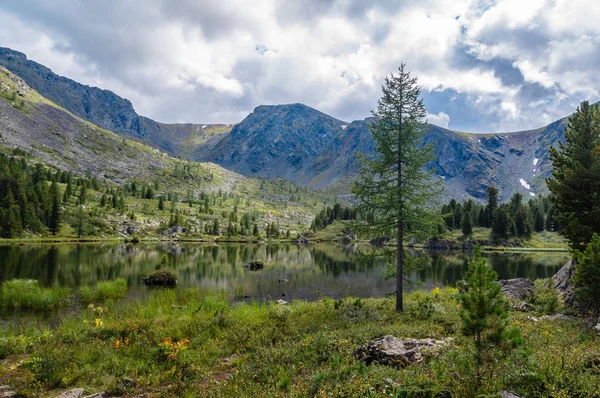 Чудовий Літній Краєвид Горах Алтай Озеро — стокове фото