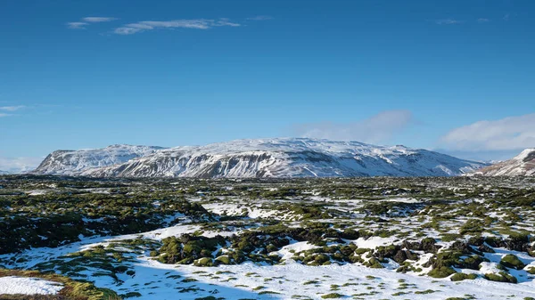 Panoramabild Lava Området Skaftareldahraun Vinter Island Europa — Stockfoto