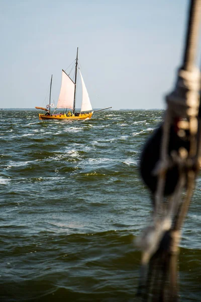 Zeesenboot Dans Vent Sur Saaler Bodden — Photo