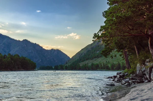 Rzeka Katun Altai Płynie Między Górami Pokrytymi Zielenią — Zdjęcie stockowe