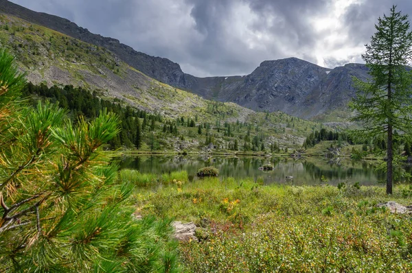 Bela Paisagem Verão Nas Montanhas Altai Com Vista Para Lago — Fotografia de Stock