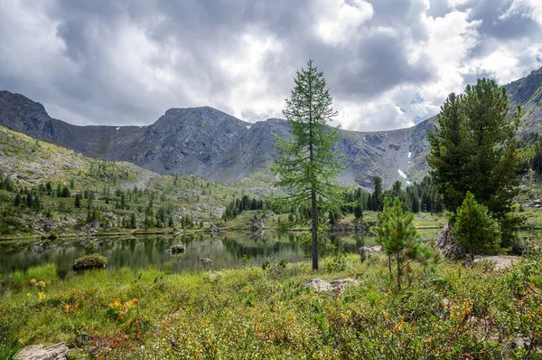 Bela Paisagem Verão Nas Montanhas Altai Com Vista Para Lago — Fotografia de Stock