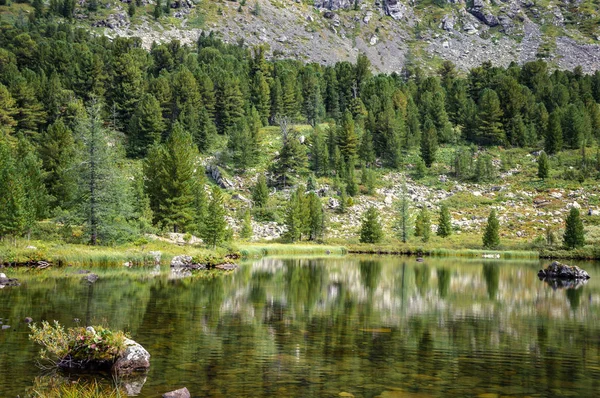 Schöne Sommerlandschaft Altai Mit Blick Auf Den See — Stockfoto