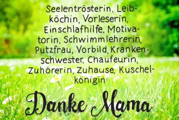 Duitse Kalligrafie Danke Mama Betekent Thanks Mom Zonnige Voorjaar Grass — Stockfoto