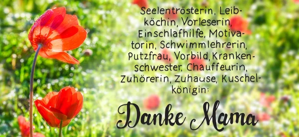 Calligrafia Tedesca Danke Mama Significa Grazie Mamma Red Poppy Flower — Foto Stock
