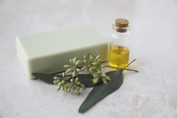 Bouteille Huile Eucalyptus Avec Barre Savon Feuilles — Photo