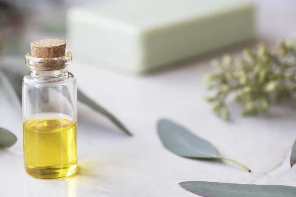 Eucalyptus Oil Small Bottle Leaves Soap Background — Stock Photo, Image
