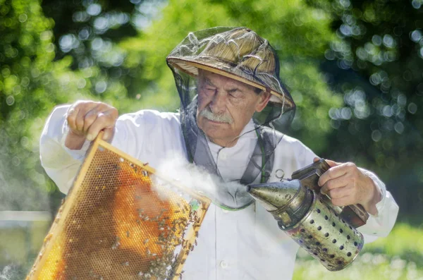 Senior Imker Macht Frühjahr Inspektion Bienenhaus — Stockfoto