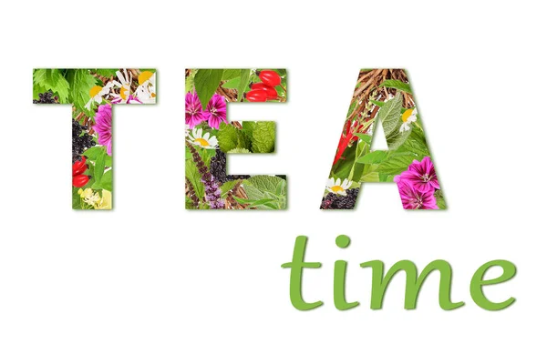 Schriftzug Tea Time Das Wort Tee Wurde Mit Verschiedenen Teepflanzen — Stockfoto