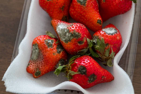 Berries Close Shot Conceito Alimentar Saudável — Fotografia de Stock