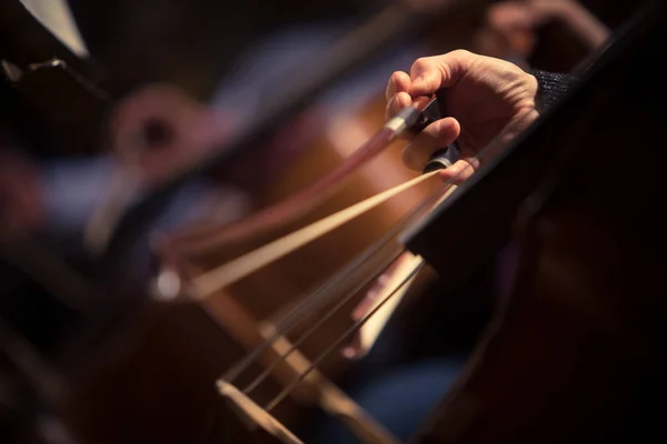 Primer Plano Hombre Tocando Violonchelo Durante Concierto —  Fotos de Stock