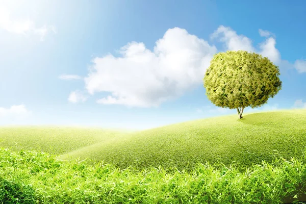 Πράσινο Πεδίο Γρασίδι Δέντρο Πάνω Από Μπλε Φόντο Του Ουρανού — Φωτογραφία Αρχείου