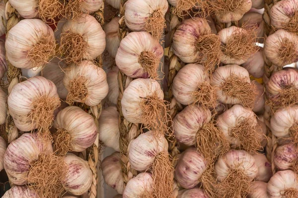 Grupp Hängande Krydda Allium Sativum Veggie Näring För Fytoterapi Läcker — Stockfoto