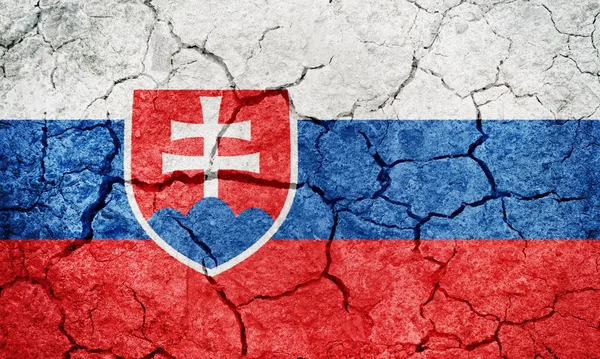 Bandera República Eslovaca Sobre Tierra Seca Textura Fondo —  Fotos de Stock
